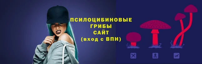 COCAINE Михайловка