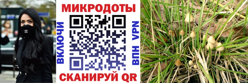Псилоцибиновые грибы Magic Shrooms  купить   Перевоз 
